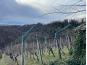 Detached house, Sale, Vinica, Vinica Breg