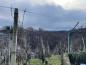 Detached house, Sale, Vinica, Vinica Breg